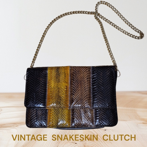 Vintage Handbags - Vintage Snakeskin Clutch, Multi Color with Gold Chain